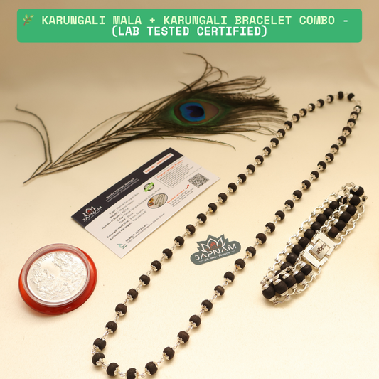 🌿 Silver-Plated Eternal Karungali Mala + bracelet combo (Lab certified) – Crafted from Authentic Ebony Wood 🌟 + 🎁 Free Laxmi Silver Plated Coin! 🖤✨