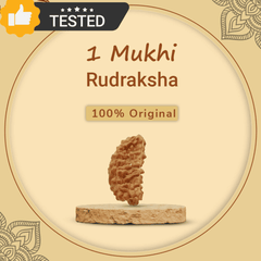 1 Mukhi Rudraksha With Lab Certified - Original + Free (Modern 5 Mukhi Rudraksha Bracelet) + Mysterious🎁Gift