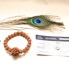 7 Mukhi Divine Rudraksha Bracelet - Original (Lab tested) + 𝐅𝐫𝐞𝐞 🎁 Laxmi Ganesha Silver Plated Coin