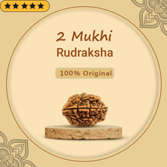 2 Mukhi Rudraksha With Lab Certified - Original + Free (Modern 5 Mukhi Rudraksha Bracelet) + Mysterious🎁Gift