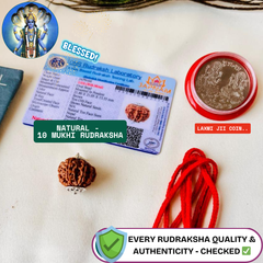 10 Mukhi Rudraksha (Original Nepali Origin & Lab Certified) + 🎁 Gift – Laxmi Ji Silver-Plated Coin