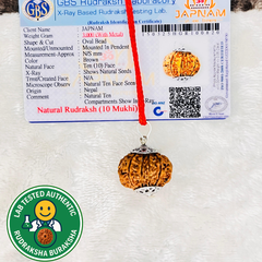 10 Mukhi Rudraksha (Original Nepali Origin & Lab Certified) + 🎁 Gift – Laxmi Ji Silver-Plated Coin