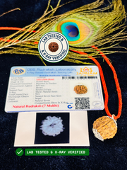 (Lab Certified & X-Ray Verified) 7 Mukhi Rudraksha + Modern 5 Mukhi Bracelet With Free 🎁 Laxmi jii Silver Plated Coin