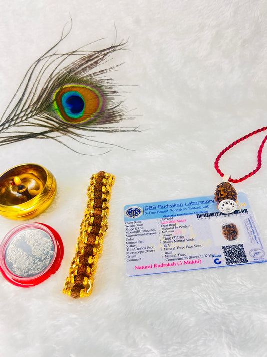 3 Mukhi Rudraksha With Lab Certified - Original +Free (Modern 5 Mukhi Rudraksha Bracelet) + Mysterious🎁Gift