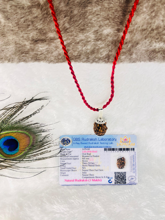 3 Mukhi Rudraksha With Lab Certified - Original +Free (Modern 5 Mukhi Rudraksha Bracelet) + Mysterious🎁Gift