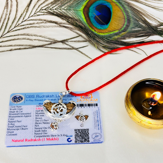 1 Mukhi Rudraksha With Lab Certified - Original + Free (Modern 5 Mukhi Rudraksha Bracelet) + Mysterious🎁Gift