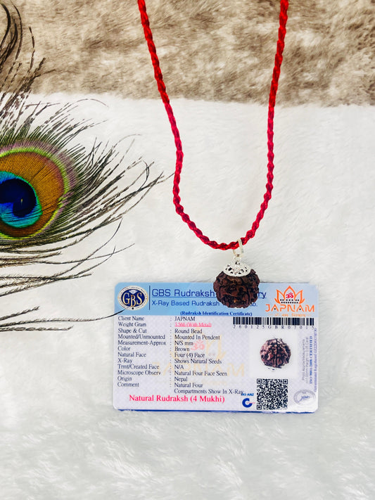 4 Mukhi Rudraksha With Lab Certified - Original (Nepali origin) + Free (Modern 5 Mukhi Rudraksha Bracelet) + Mysterious🎁Gift