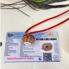 9 Mukhi Rudraksha (Lab certified - Nepali origin) + FREE (Modern Rudraksha Bracelet) + Mysterious š Gift!
