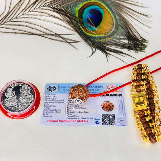 Divine Shield: 5 Mukhi Rudraksha (Lab Certified - Nepali origin) + FREE Modern Rudraksha Bracelet for Peace, Power & Protection! 🔱 + Mysterious🎁Gift