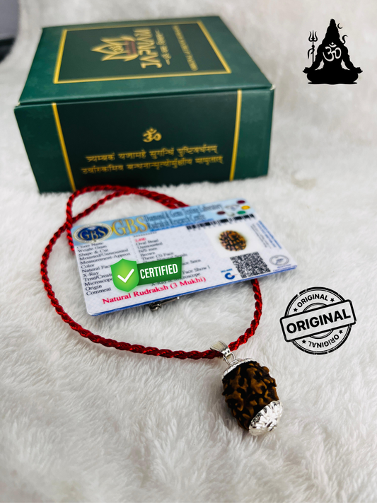3 Mukhi Rudraksha With Lab Certified - Original +  FREE Divine Rudraksha Bracelet + 𝐅𝐫𝐞𝐞 🎁 Laxmi Ganesha Silver Plated Coin