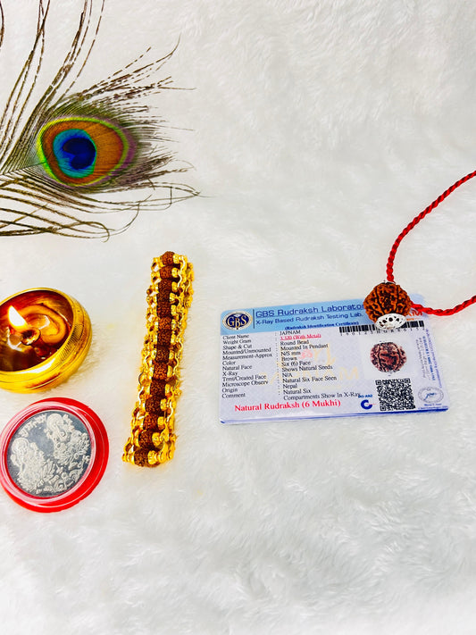 6 Mukhi Rudraksha (Lab Certified - Nepali origin) + FREE Modern Rudraksha Bracelet – Boost Confidence, Focus & Success! 🔱+ Mysterious🎁Gift