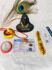 (Lab Certified & X-Ray Verified) 7 Mukhi Rudraksha + Modern 5 Mukhi Bracelet With Free 🎁 Laxmi jii Silver Plated Coin