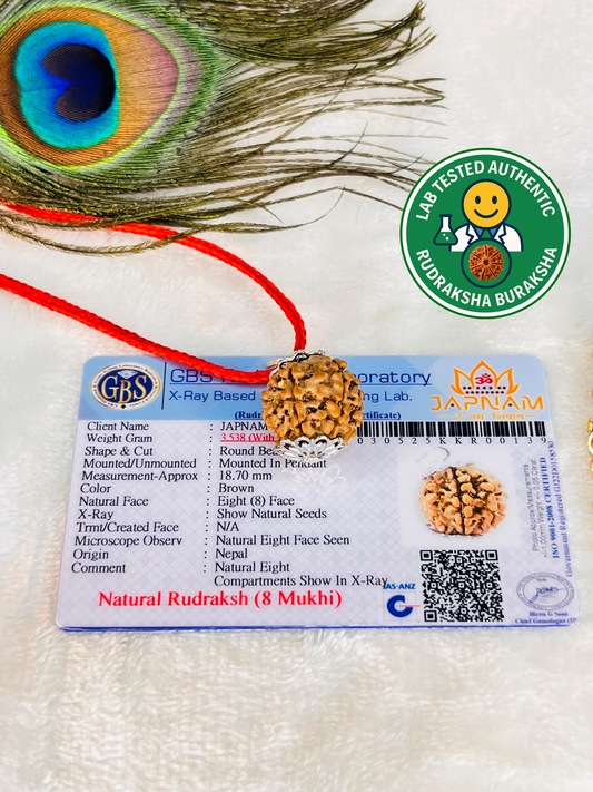 8 Mukhi Rudraksha (Lab certified - Nepali origin) + FREE Modern Rudraksha Bracelet + Mysterious 🎁 Gift