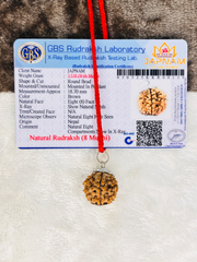 8 Mukhi Rudraksha (Lab certified - Nepali origin) + FREE Modern Rudraksha Bracelet + Mysterious 🎁 Gift
