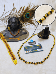 (1 +1+Gift) Classic Rudraksha Mala + Designer Bracelet (5 mukhi) Combo with Free 🎁 Laxmi Ganesha Silver Plated Coin!