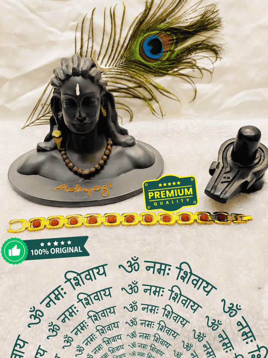 Gold Plated Essential 5 Mukhi Rudraksha Bracelet + Mysterious🎁Gift