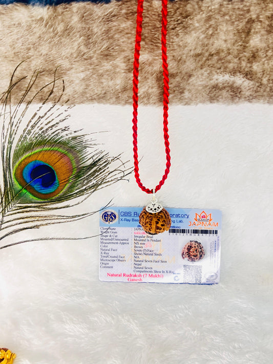 Ganesha Rudraksha (Lab certified - Nepali origin) | FREE Modern Rudraksha Bracelet + Mysterious 🎁 Gift!