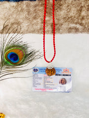 Ganesha Rudraksha (Lab certified - Nepali origin) | FREE Modern Rudraksha Bracelet + Mysterious š Gift!