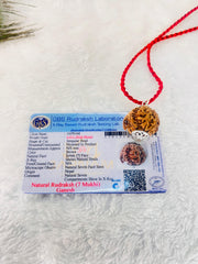 Ganesha Rudraksha (Lab certified - Nepali origin) | FREE Modern Rudraksha Bracelet + Mysterious š Gift!