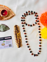 🌿 Divya Raksha Karungali & Rudraksha Kavach Mala + Choice of Bracelet Combo (Lab-Certified) + Free Gift 🎁