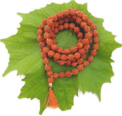 Original 5 Mukhi Rudraksha Jaap Mala 108 Beads (Lab tested) – Unlock Divine Energy! + Free Rudraksha Bracelet & Mysterious Gift!✨