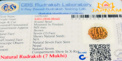 (Lab Certified & X-Ray Verified) 7 Mukhi Rudraksha + Modern 5 Mukhi Bracelet With Free 🎁 Laxmi jii Silver Plated Coin