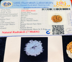 (Lab Certified & X-Ray Verified) 7 Mukhi Rudraksha + Modern 5 Mukhi Bracelet With Free 🎁 Laxmi jii Silver Plated Coin