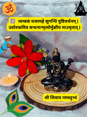 Exquisite Gold-Plated Celestial Shiva Idol : A Divine and Elegant Masterpiece