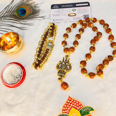 Trishool Mala + Original Natural Rudraksha Bracelet (5 Mukhi) Combo (Lab Tested) + Mysterious🎁Gift