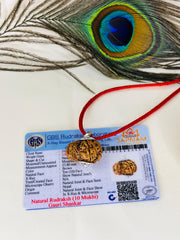 Gauri Shankar Rudraksha With (Lab Certified - Nepali origin) - Divine Fusion of Shiva & Shakti