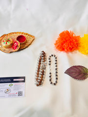 (1 +1+Gift) Golden Couple Rudraksha Designer Bracelets (5 Mukhi) - Elegant Combo with a Gift 🎁 Laxmi Silver Plated Coin💫