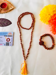 Original 5 Mukhi Rudraksha Jaap Mala 108 Beads (Lab tested) – Unlock Divine Energy! + Free Rudraksha Bracelet & Mysterious Gift!✨