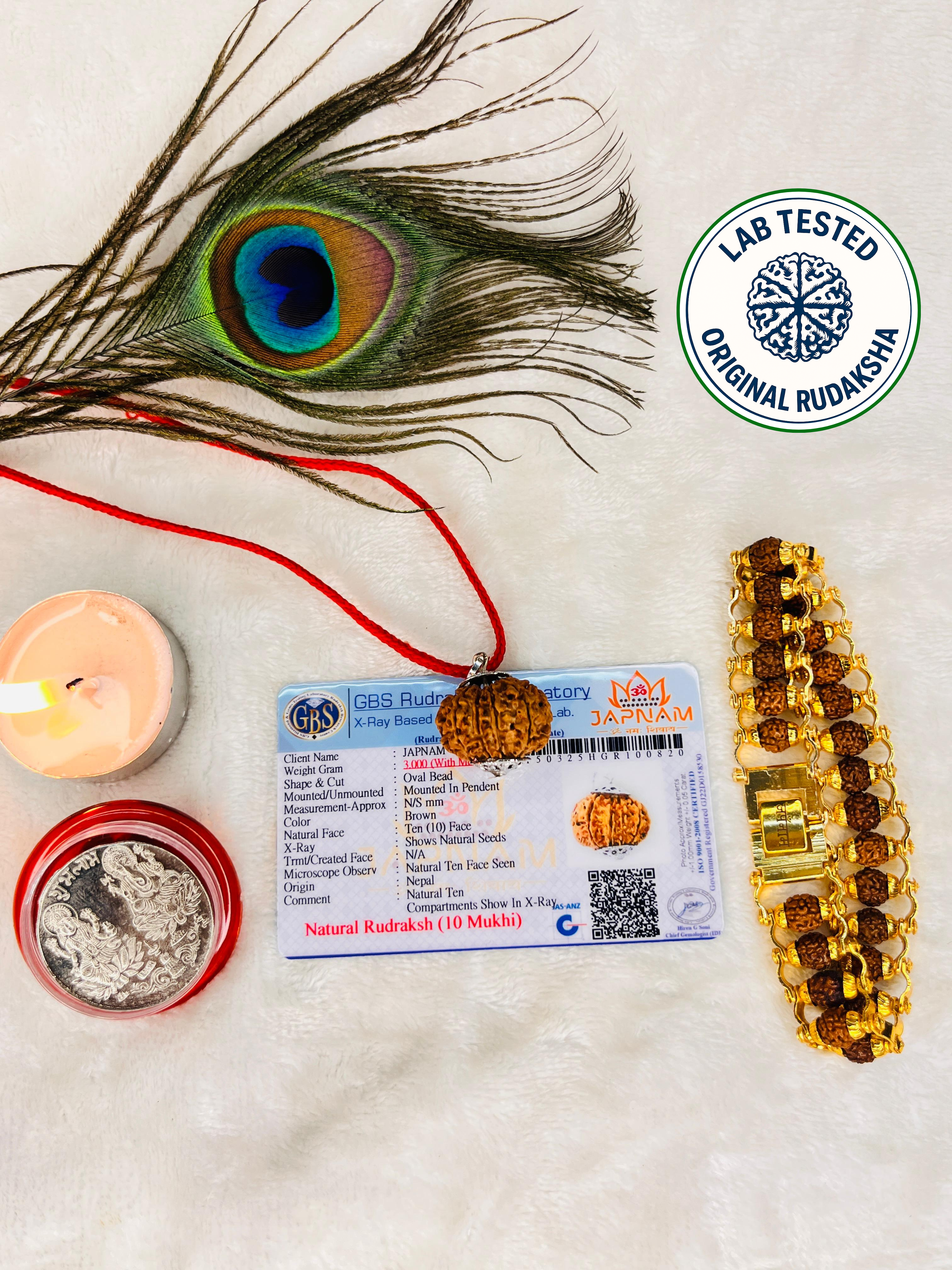 10 Mukhi Rudraksha With (Lab Certified - Nepali origin) + Free (Modern 5 Mukhi Rudraksha Bracelet) +  Mysterious🎁Gift