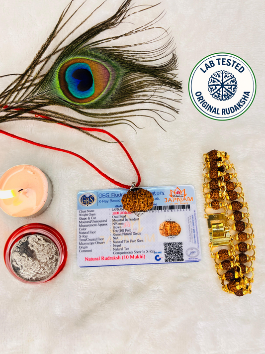 10 Mukhi Rudraksha With (Lab Certified - Nepali origin) + Free (Modern 5 Mukhi Rudraksha Bracelet) +  Mysterious🎁Gift