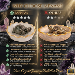 [Certified]- Natural Pyrite Tortoise (Kachhua) with Natural Selenite Charging Bowl