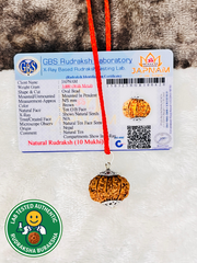 10 Mukhi Rudraksha With (Lab Certified - Nepali origin) + Free (Modern 5 Mukhi Rudraksha Bracelet) +  Mysterious🎁Gift