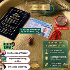 4 Mukhi Rudraksha (Original & Lab Certified) + 🎁 Gift – Laxmi Ji Silver-Plated Coin