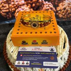 Gold plated Om Sun Rudraksha Bracelet For Men And Women + Mysterious🎁Gift