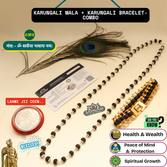 🌿 Silver-Plated Eternal Karungali Mala + bracelet combo (Lab certified) – Crafted from Authentic Ebony Wood 🌟 + 🎁 Free Laxmi Silver Plated Coin! 🖤✨