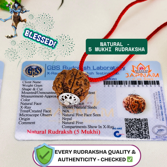 Divine Shield: 5 Mukhi Rudraksha (Lab Certified - Nepali origin) + FREE Modern Rudraksha Bracelet for Peace, Power & Protection! 🔱 + Mysterious🎁Gift