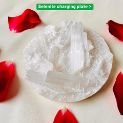 Lab certified - Money Magnet Bracelet + FREE (✨ Selenite Plate) - Combo + 📿Gift (5 mukhi rudraksha)
