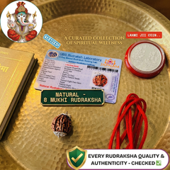8 Mukhi Rudraksha (Original Nepali Origin & Lab Certified) + 🎁 Gift – Laxmi Ji Silver-Plated Coin