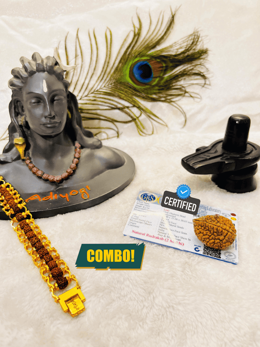 2 Mukhi Rudraksha With Lab Certified - Original + Free (Modern 5 Mukhi Rudraksha Bracelet) + Mysterious🎁Gift