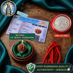 10 Mukhi Rudraksha (Original Nepali Origin & Lab Certified) + 🎁 Gift – Laxmi Ji Silver-Plated Coin