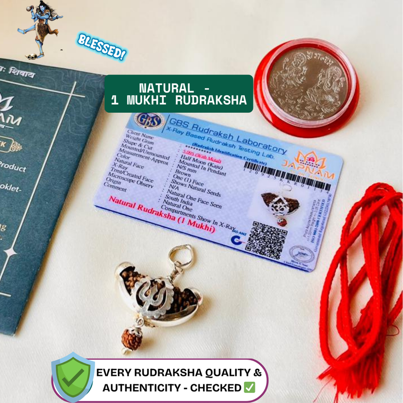 🌿 1 Mukhi Rudraksha (Original & Lab Certified) + 🪙 Gift – Laxmi Ji Silver-Plated Coin
