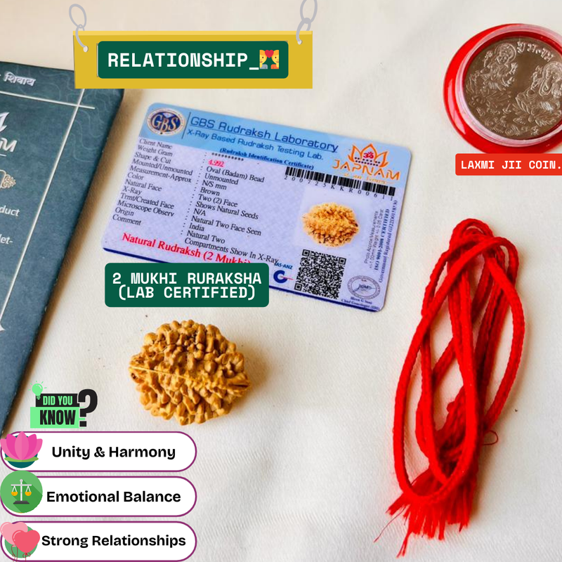 2 Mukhi Rudraksha (Original & Lab Certified) + 🎁 Gift – Laxmi Ji Silver-Plated Coin