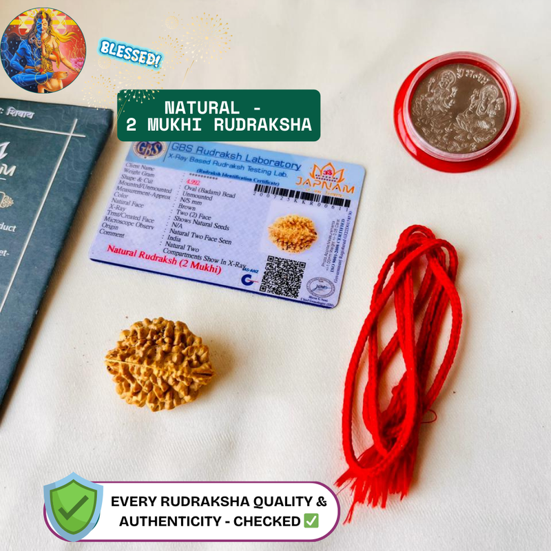 2 Mukhi Rudraksha (Original & Lab Certified) + 🎁 Gift – Laxmi Ji Silver-Plated Coin