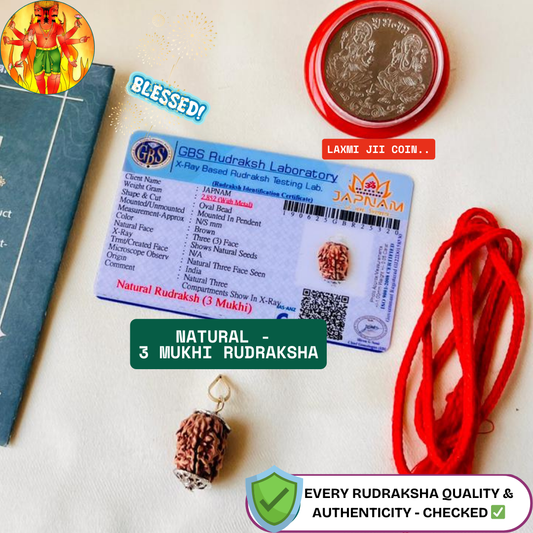 3 Mukhi Rudraksha With Lab Certified - Original + 🎁 Gift – Laxmi Ji Silver-Plated Coin