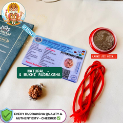 4 Mukhi Rudraksha (Original & Lab Certified) + 🎁 Gift – Laxmi Ji Silver-Plated Coin