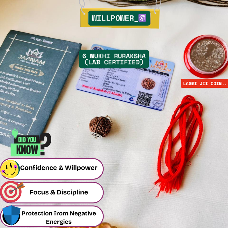 6 Mukhi Rudraksha (Original Nepali Origin & Lab Certified) + 🎁 Gift – Laxmi Ji Silver-Plated Coin